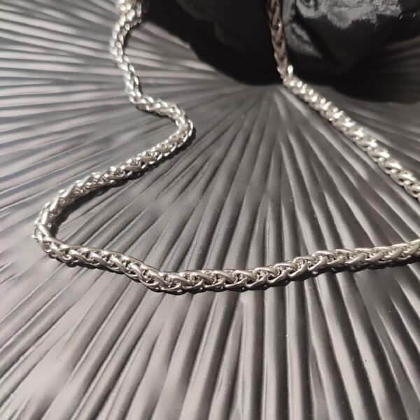 IMG_20251003_182937 Ατσάλινη αλυσίδα rope