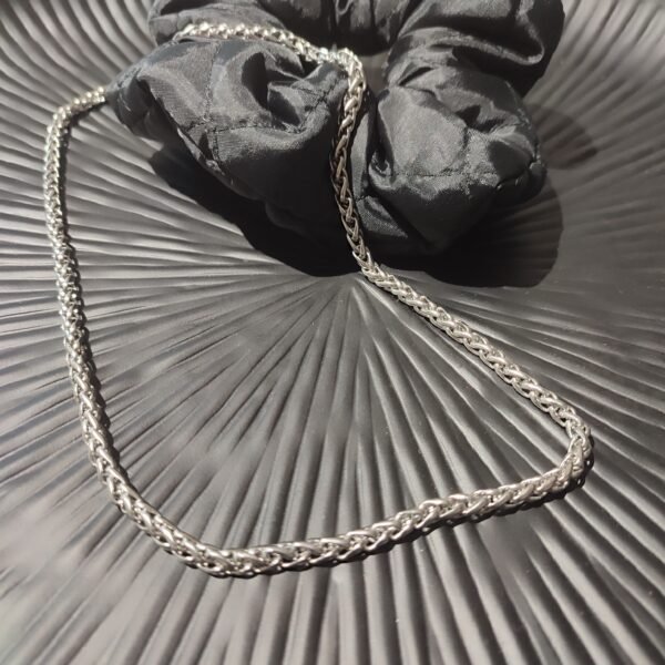 IMG_20251003_182953 Ατσάλινη αλυσίδα rope